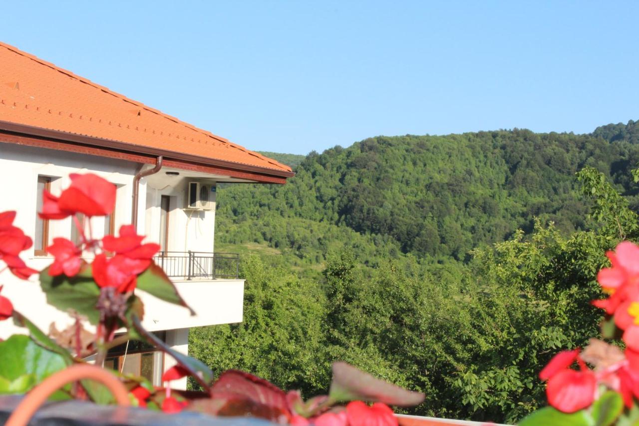 Бадевски Рай- Къща София Veliko Turnovo Bagian luar foto