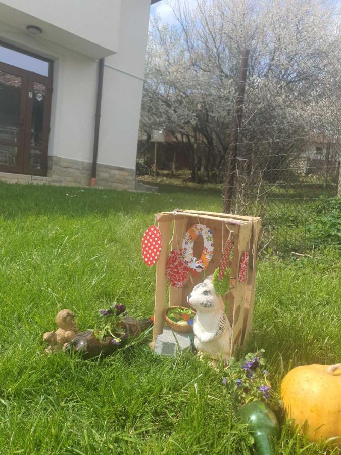Бадевски Рай- Къща София Veliko Turnovo Bagian luar foto